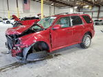 2010 Mercury Mariner Premier Burgundy vin: 4M2CN8H76AKJ05544