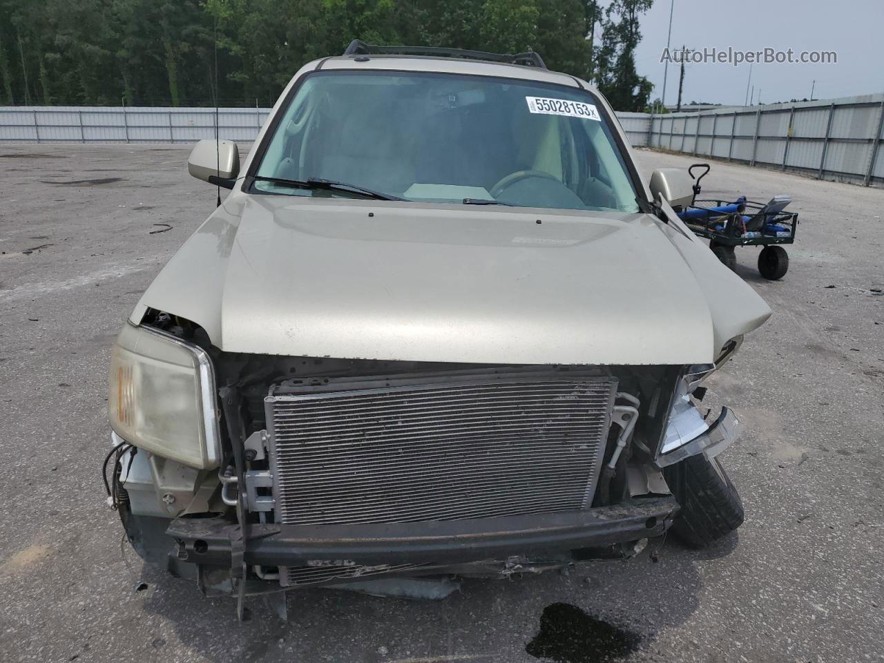 2010 Mercury Mariner Premier Gold vin: 4M2CN8H78AKJ09093