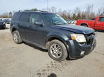 2010 Mercury Mariner Premier Gray vin: 4M2CN8HG8AKJ13791