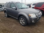 2011 Mercury Mariner Premier Gray vin: 4M2CN8HG9BKJ04194