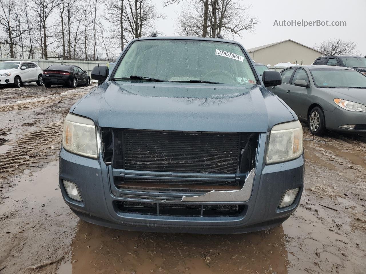 2010 Mercury Mariner  Gray vin: 4M2CN9B73AKJ17410