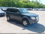 2010 Mercury Mariner   Gray vin: 4M2CN9B77AKJ05311