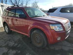 2010 Mercury Mariner  Красный vin: 4M2CN9B7XAKJ05125