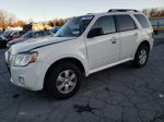 2010 Mercury Mariner  White vin: 4M2CN9BG8AKJ11991