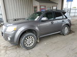 2010 Mercury Mariner Premier Серый vin: 4M2CN9H79AKJ09870