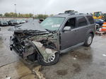 2010 Mercury Mariner Premier Gray vin: 4M2CN9HG0AKJ13712