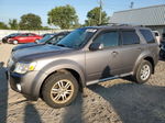 2010 Mercury Mariner Premier Gray vin: 4M2CN9HG5AKJ11941