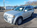 2010 Mercury Mariner Premier Silver vin: 4M2CN9HG7AKJ03078