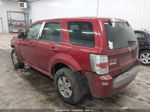 2008 Mercury Mariner V6 Красный vin: 4M2CU81168KJ07278