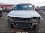 2001 Isuzu Rodeo Ls/lse/s Silver vin: 4S2DM58W814315123