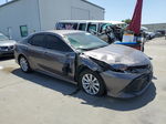 2019 Toyota Camry L Gray vin: 4T1B11HK0KU239850