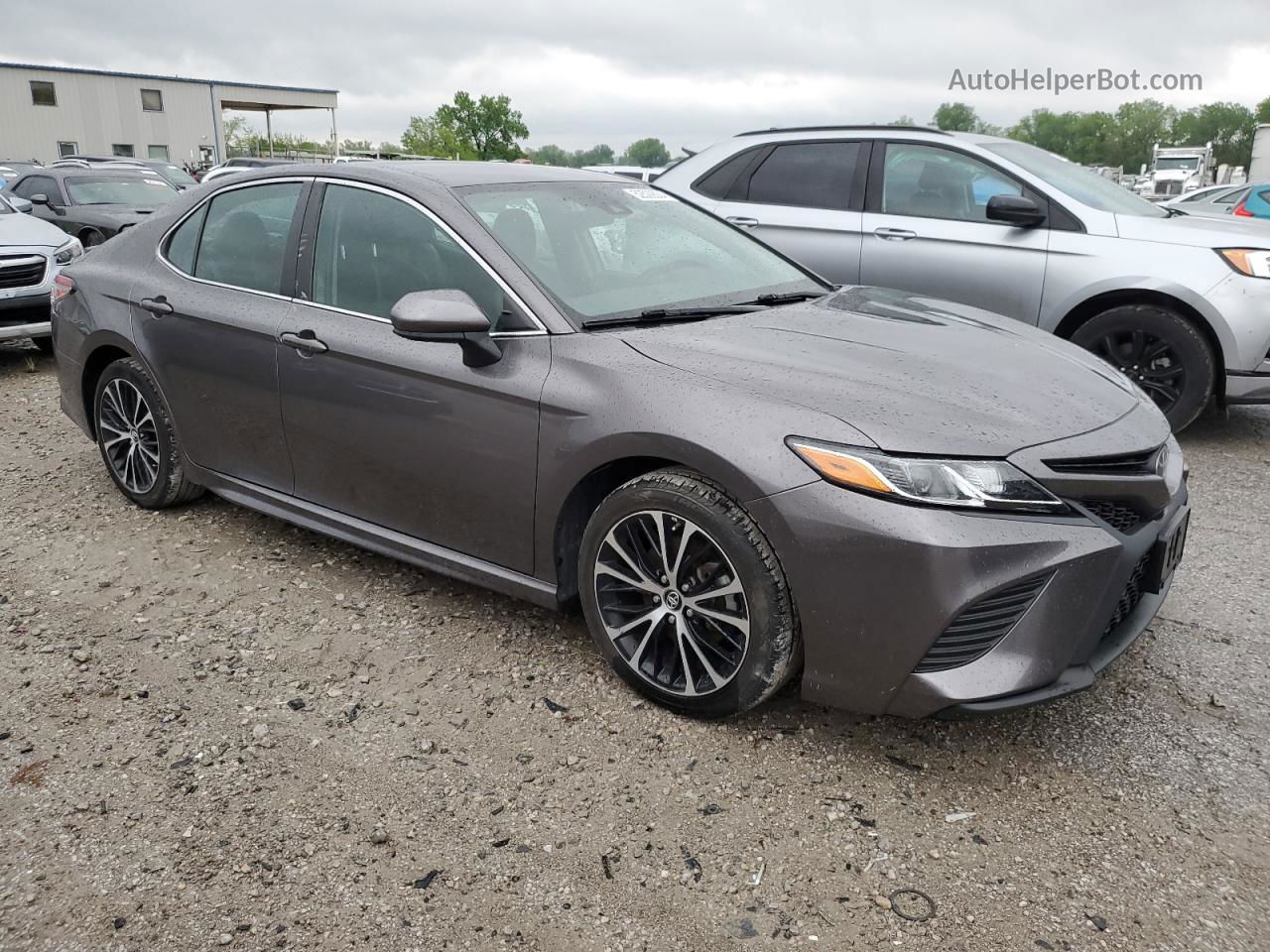 2019 Toyota Camry L Серый vin: 4T1B11HK0KU684055