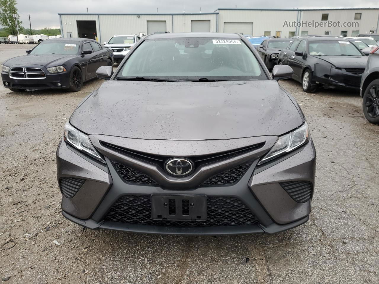 2019 Toyota Camry L Gray vin: 4T1B11HK0KU684055