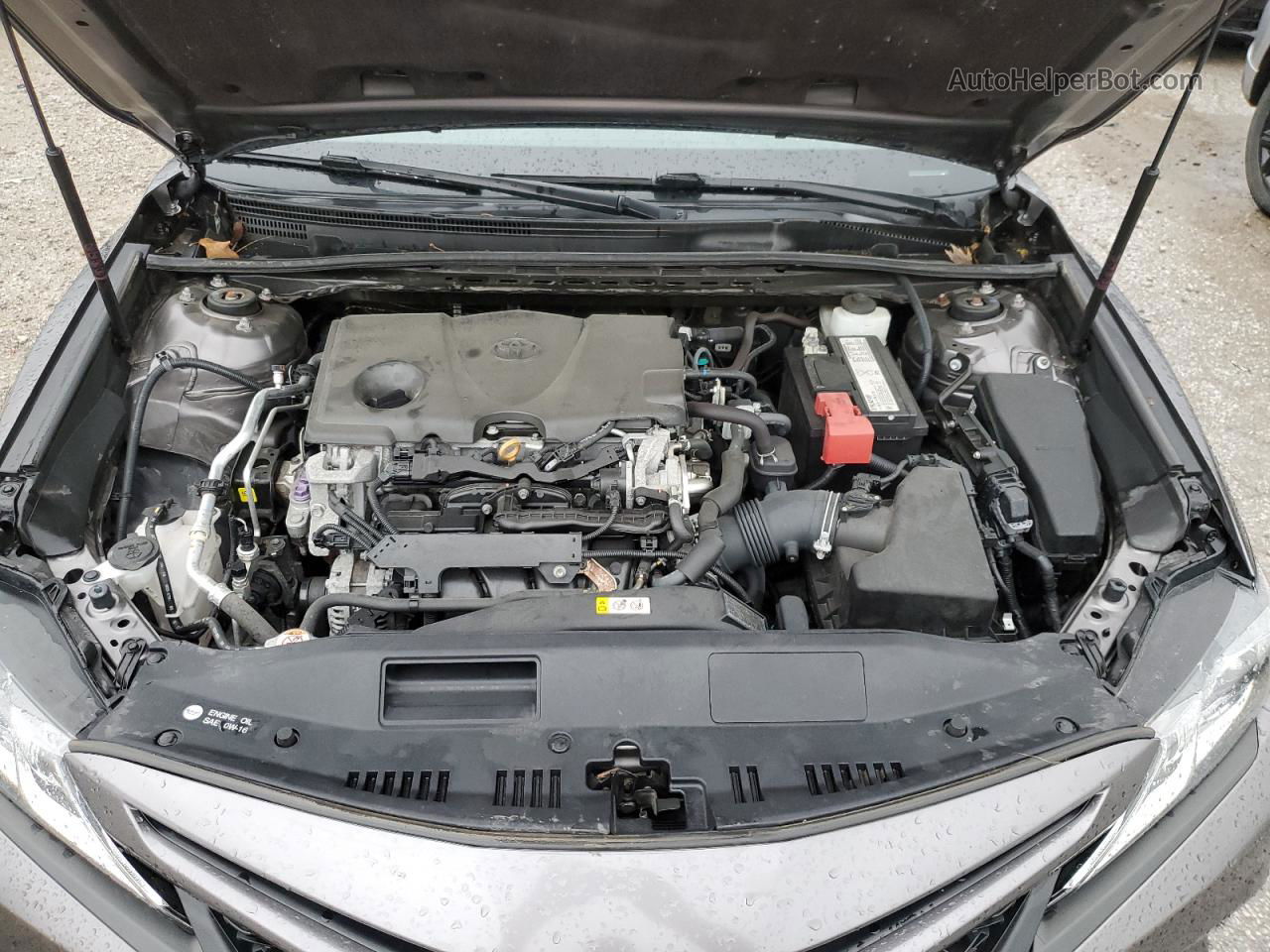 2019 Toyota Camry L Серый vin: 4T1B11HK0KU684055