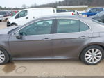 2019 Toyota Camry Le Gray vin: 4T1B11HK0KU719077