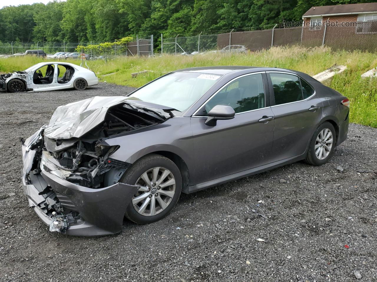 2019 Toyota Camry L Gray vin: 4T1B11HK1KU195731