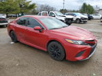 2019 Toyota Camry L Red vin: 4T1B11HK1KU210843