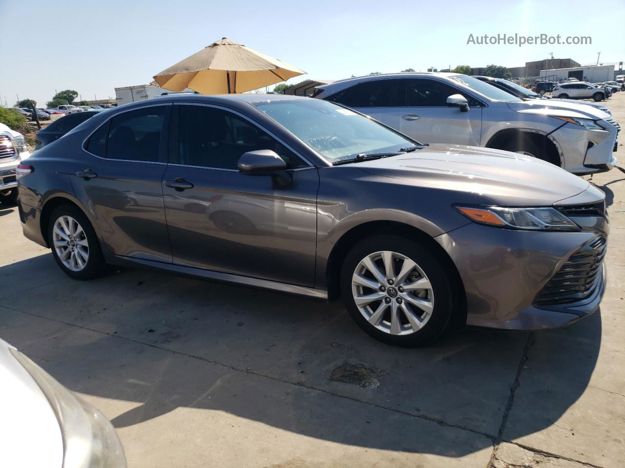 2019 Toyota Camry L Gray vin: 4T1B11HK1KU751813