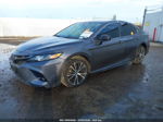 2019 Toyota Camry Se Gray vin: 4T1B11HK1KU789302