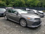 2019 Toyota Camry L Gray vin: 4T1B11HK1KU813727