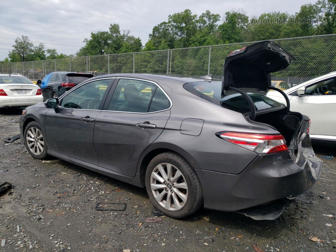 2019 Toyota Camry L Gray vin: 4T1B11HK1KU813727