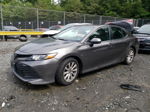 2019 Toyota Camry L Gray vin: 4T1B11HK1KU813727