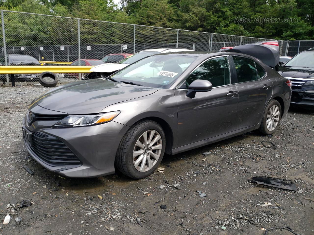 2019 Toyota Camry L Серый vin: 4T1B11HK1KU813727