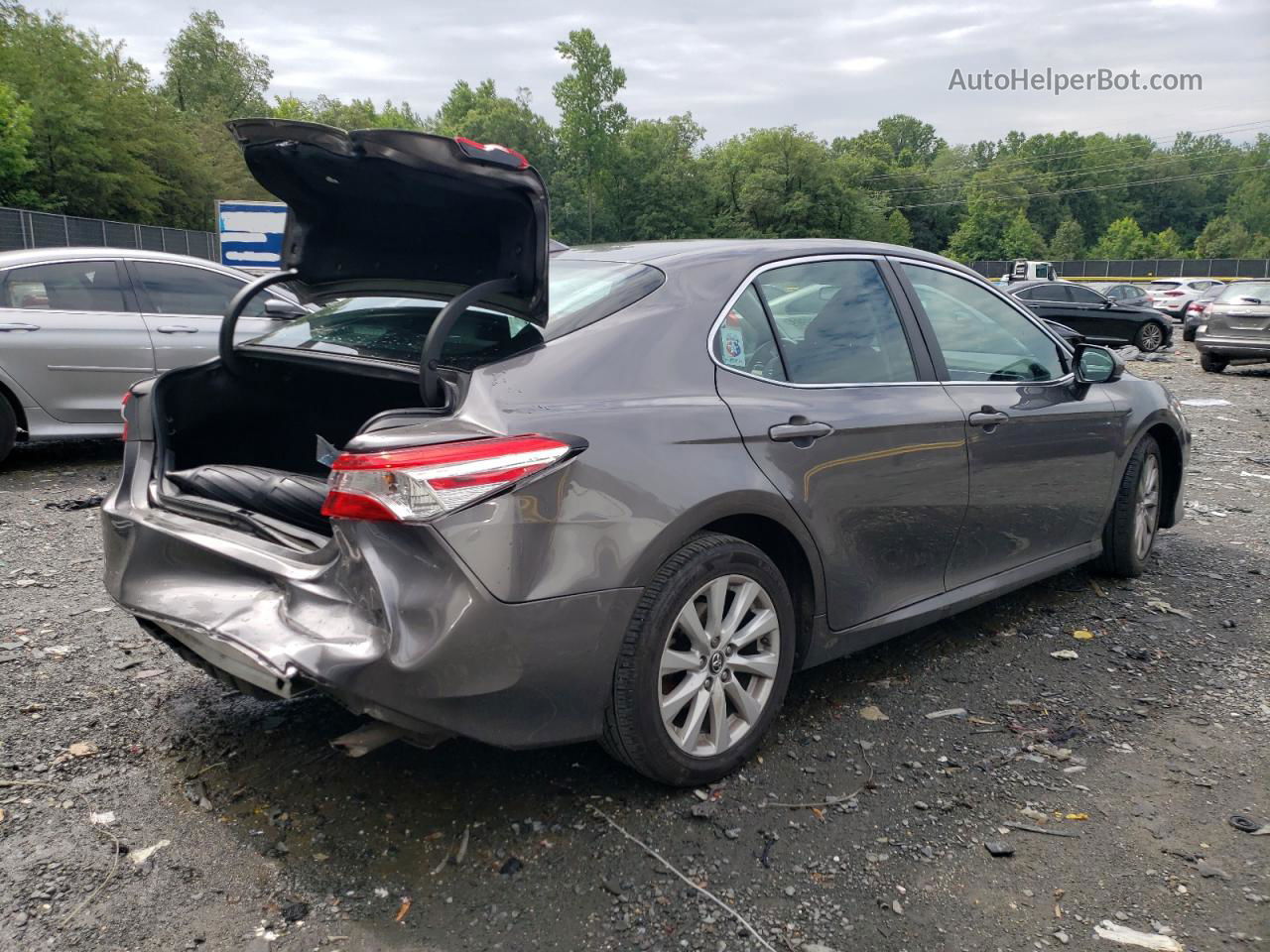 2019 Toyota Camry L Серый vin: 4T1B11HK1KU813727