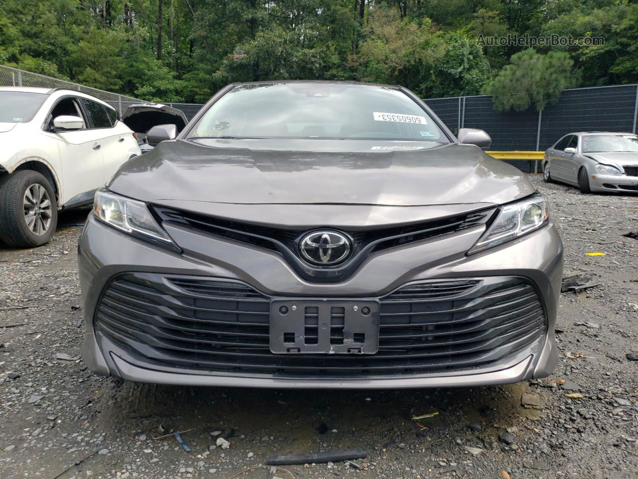 2019 Toyota Camry L Gray vin: 4T1B11HK1KU813727