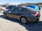 2019 Toyota Camry L Gray vin: 4T1B11HK2KU236710