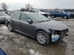 2019 Toyota Camry L Gray vin: 4T1B11HK2KU684719