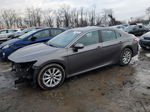 2019 Toyota Camry L Gray vin: 4T1B11HK2KU684719