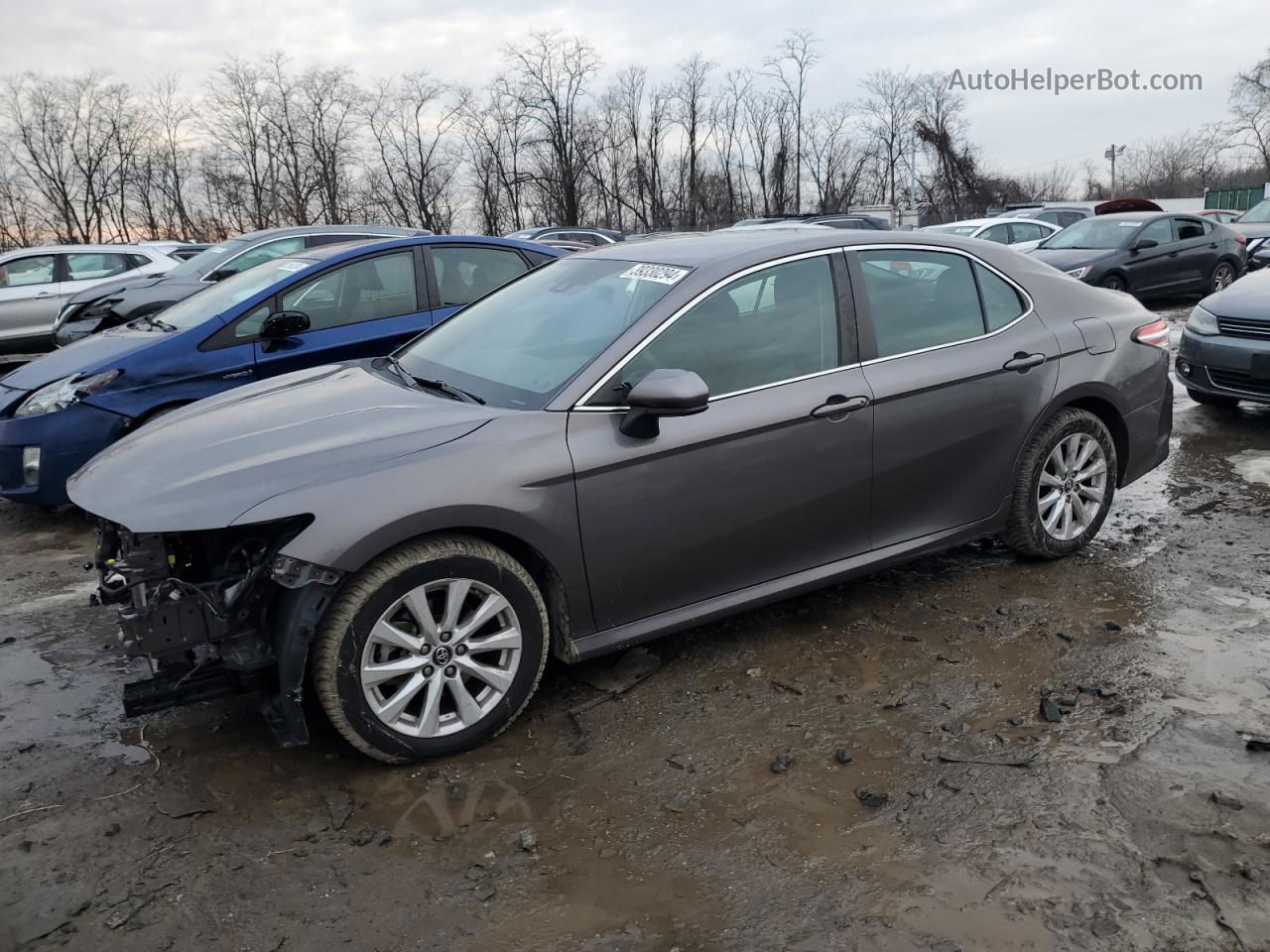 2019 Toyota Camry L Gray vin: 4T1B11HK2KU684719