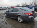 2019 Toyota Camry L Gray vin: 4T1B11HK2KU684719