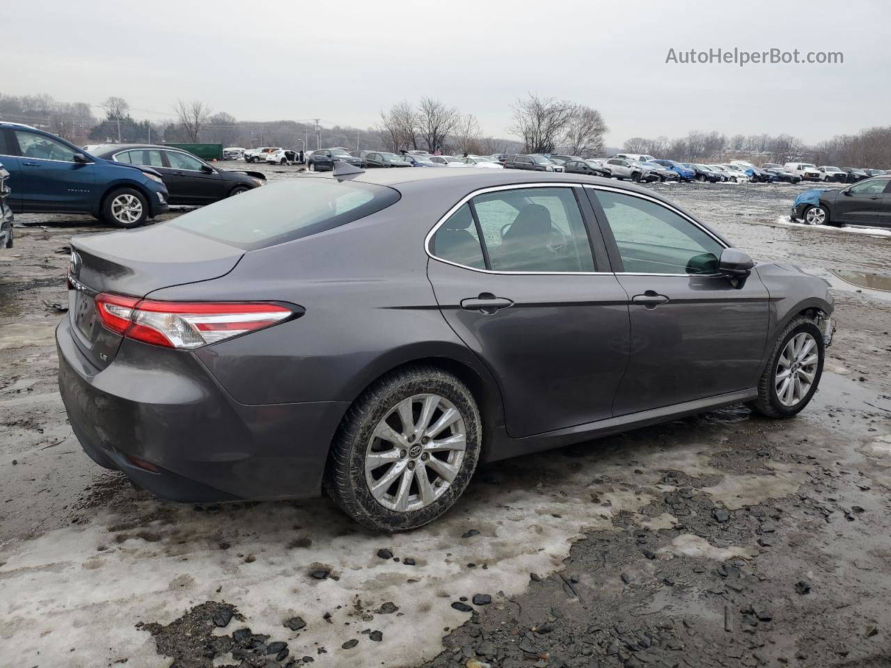 2019 Toyota Camry L Gray vin: 4T1B11HK2KU684719