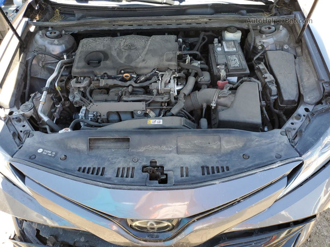 2019 Toyota Camry L Gray vin: 4T1B11HK3KU243178