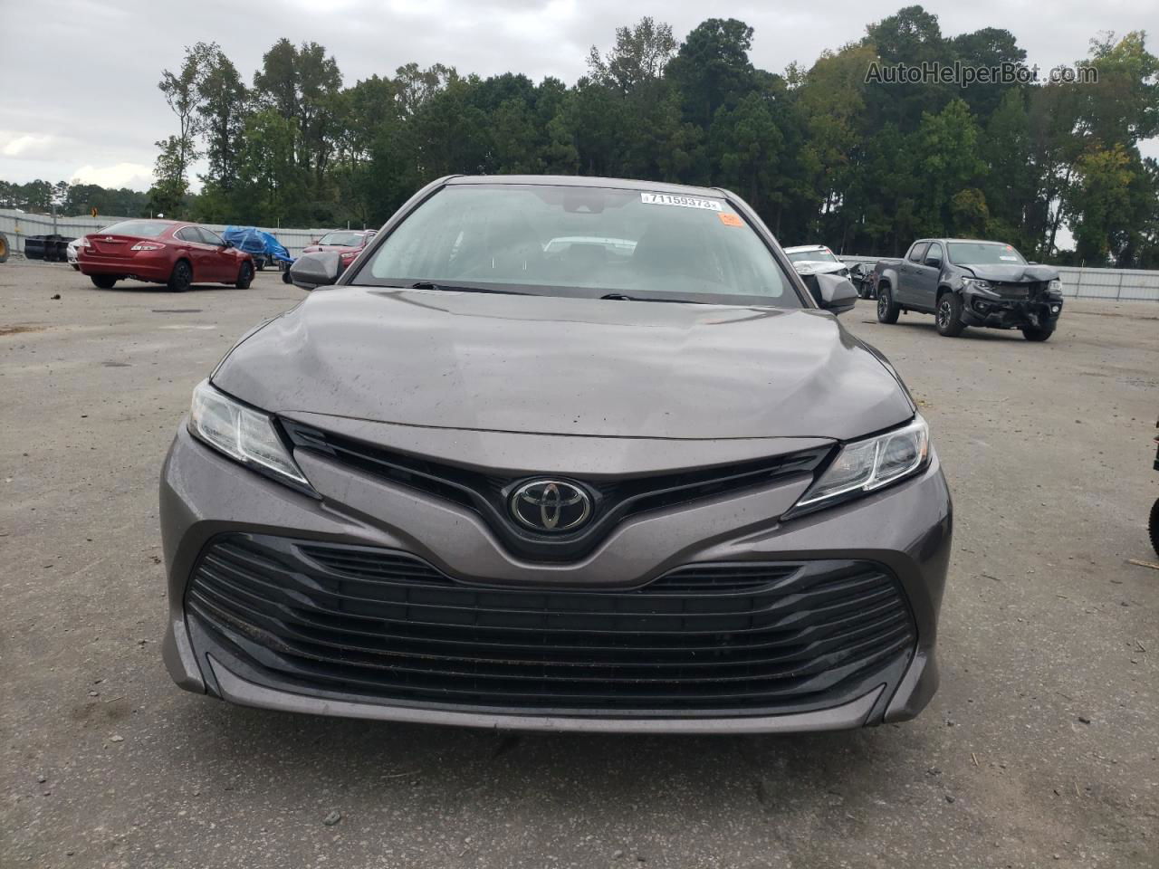 2019 Toyota Camry L Gray vin: 4T1B11HK3KU260952