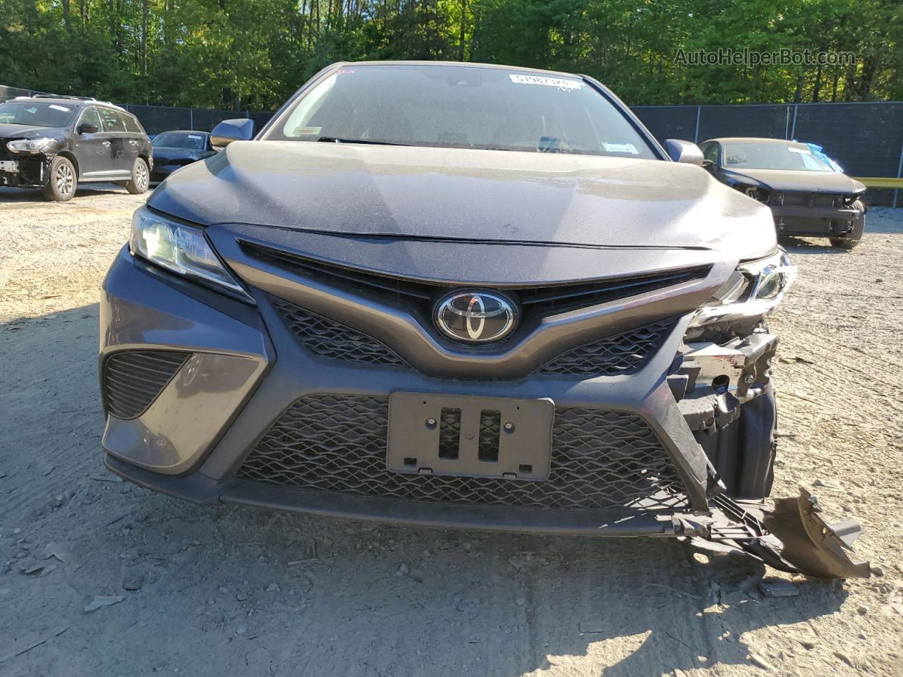 2019 Toyota Camry L Серый vin: 4T1B11HK3KU277363