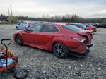 2019 Toyota Camry L Burgundy vin: 4T1B11HK3KU290288