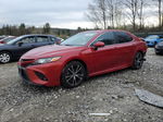 2019 Toyota Camry L Burgundy vin: 4T1B11HK3KU290288