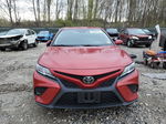 2019 Toyota Camry L Burgundy vin: 4T1B11HK3KU290288