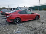 2019 Toyota Camry L Burgundy vin: 4T1B11HK3KU290288