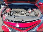 2019 Toyota Camry Se Red vin: 4T1B11HK3KU297872