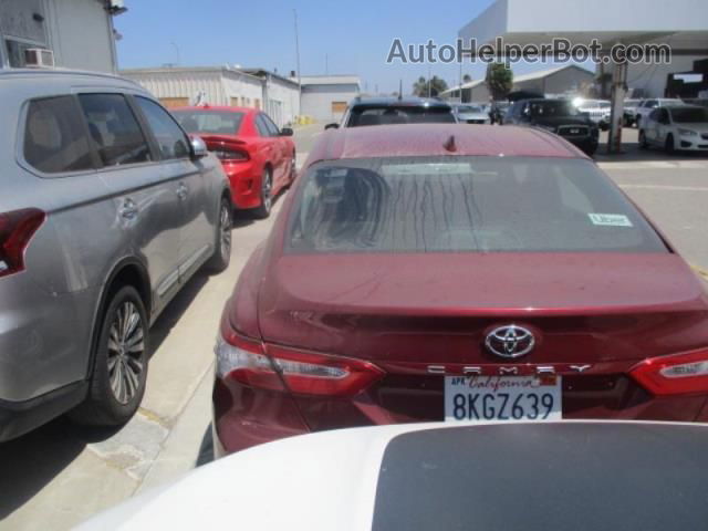 2019 Toyota Camry Le/se/xle/l Red vin: 4T1B11HK3KU776079