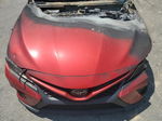 2019 Toyota Camry L Burn vin: 4T1B11HK4KU225465