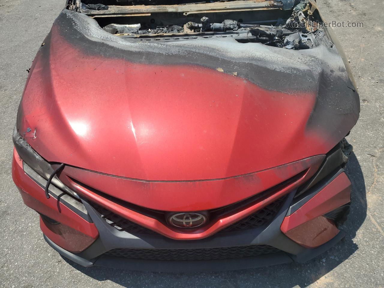 2019 Toyota Camry L Burn vin: 4T1B11HK4KU225465