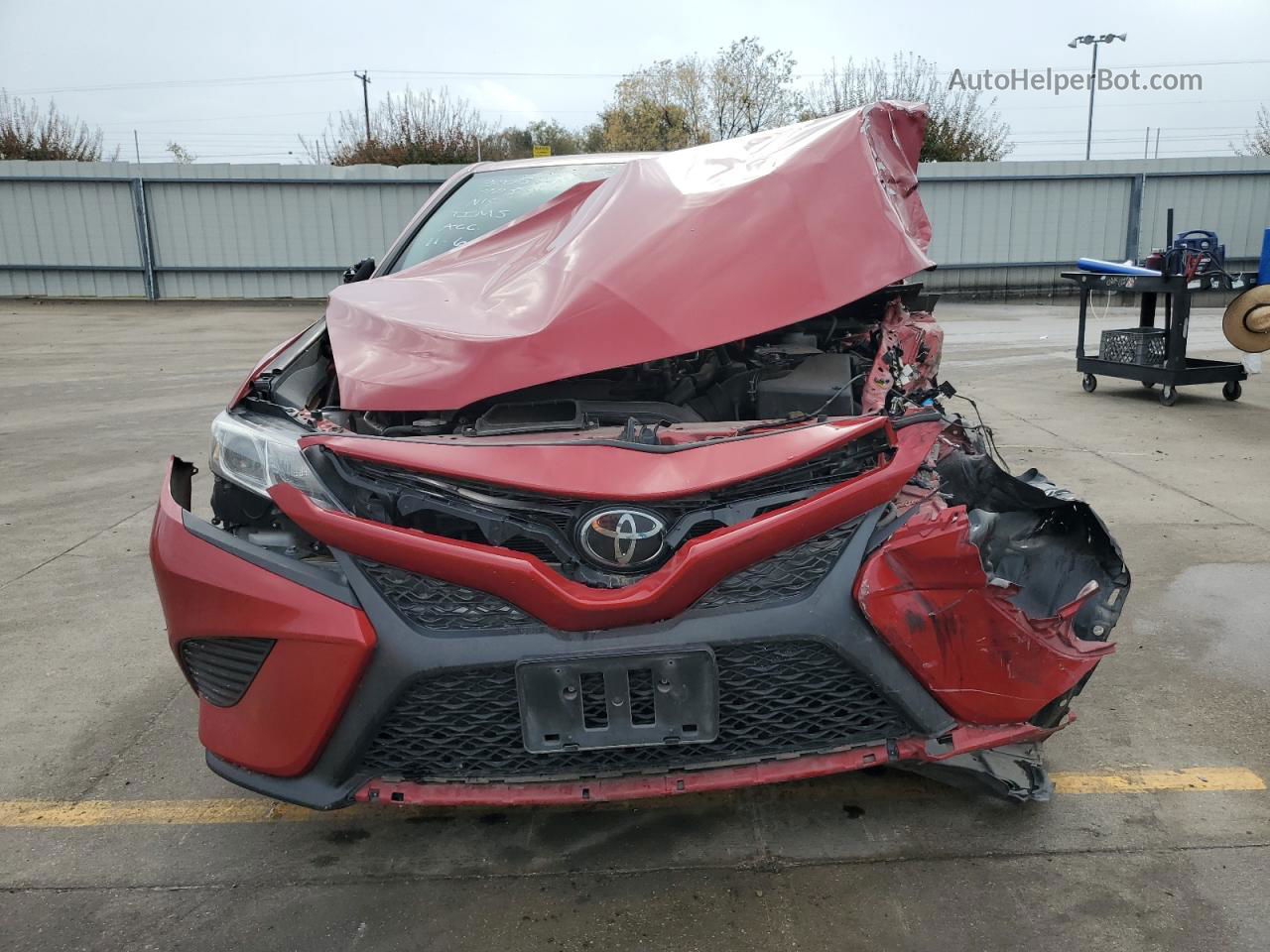 2019 Toyota Camry L Red vin: 4T1B11HK5KU231632