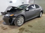 2019 Toyota Camry L Gray vin: 4T1B11HK5KU239214