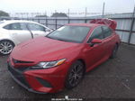 2019 Toyota Camry Le/se/xle/l Red vin: 4T1B11HK5KU265957