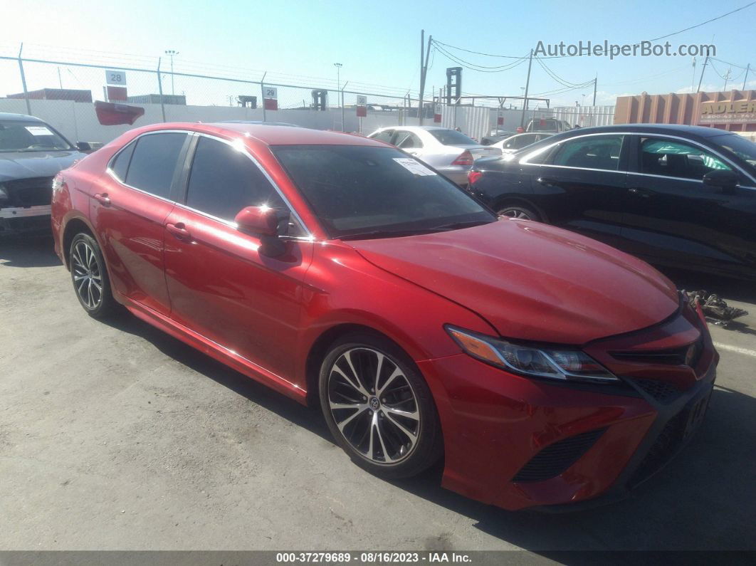 2019 Toyota Camry Le/se/xle/l Red vin: 4T1B11HK5KU284993